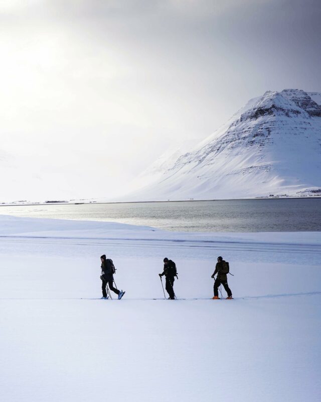 Three skiers by the coast.