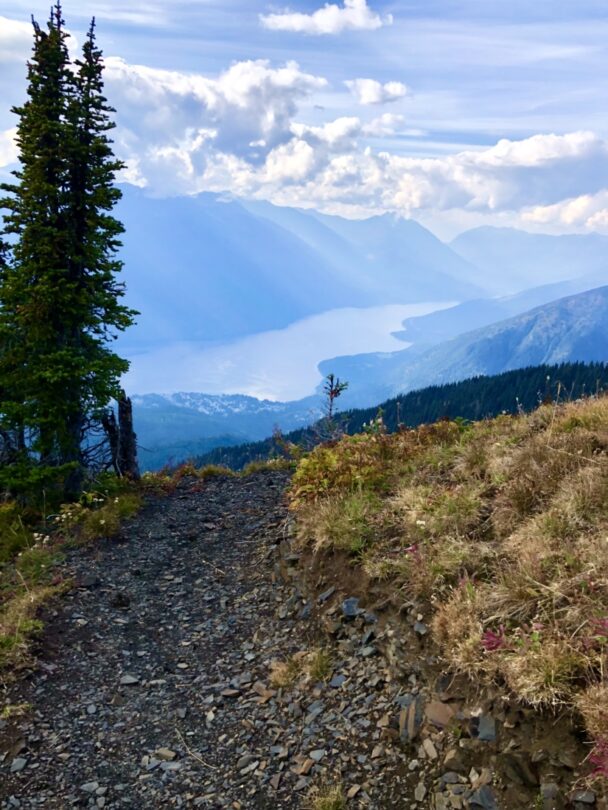Mountain Biking in the West Kootenays.