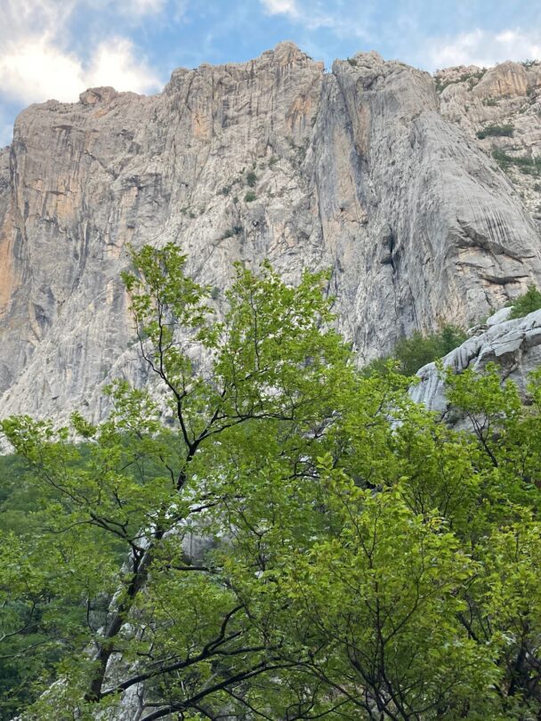 Wherever you are at TWall, there are stellar views.