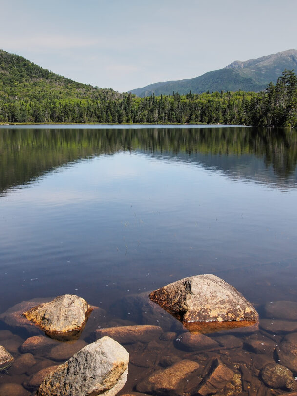 Wherever you are at TWall, there are stellar views.