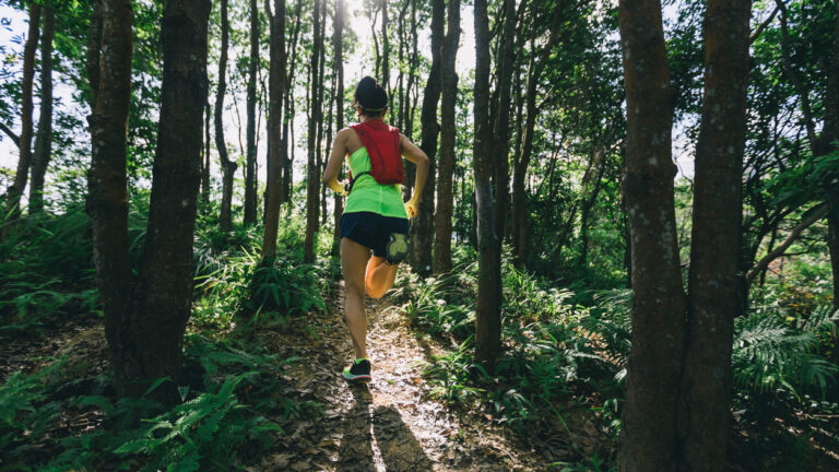 Trail running the Art Loeb Trail.