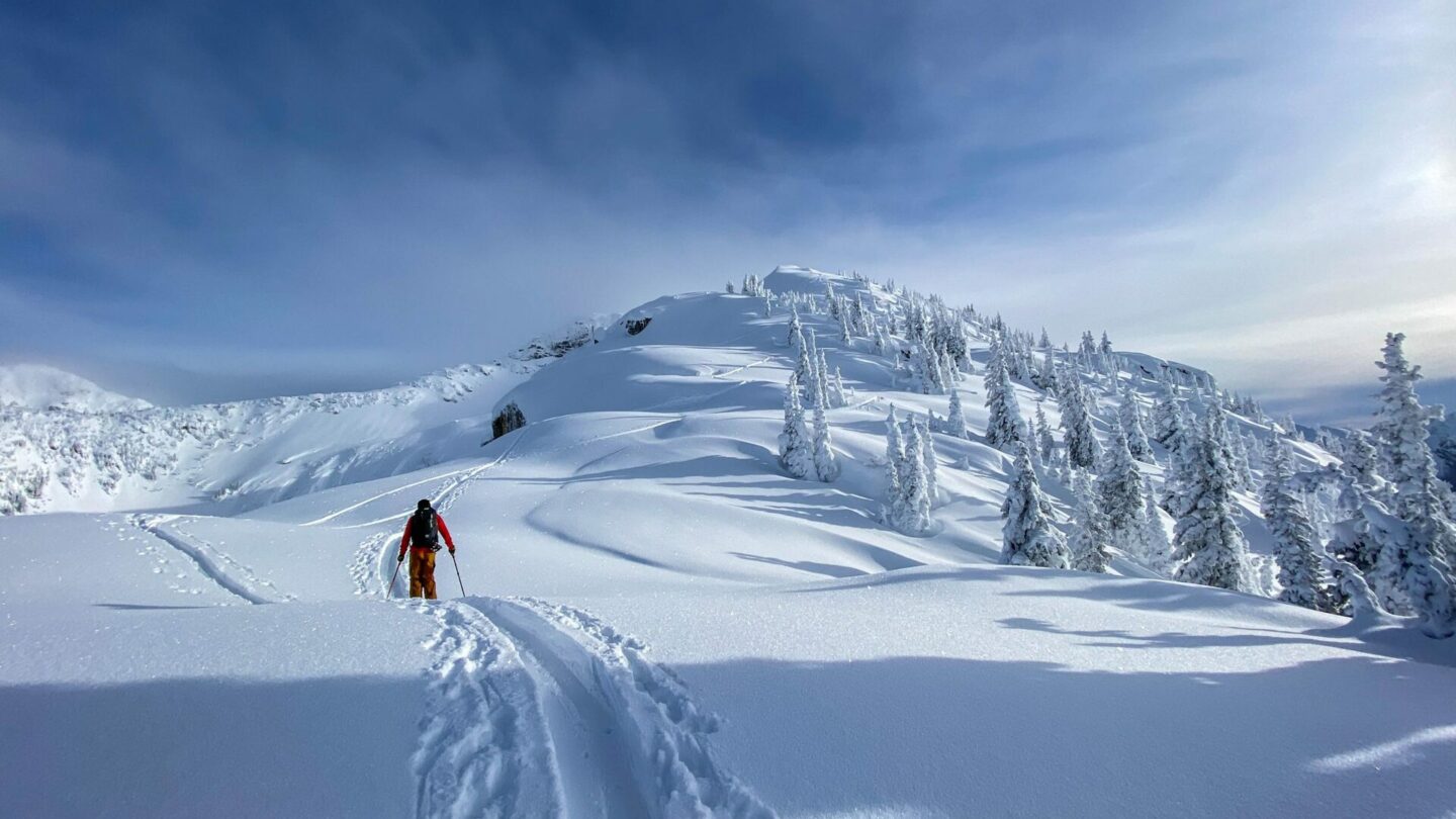 Backcountry skier going up a hill.