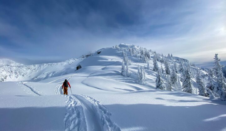Backcountry skier going up a hill.