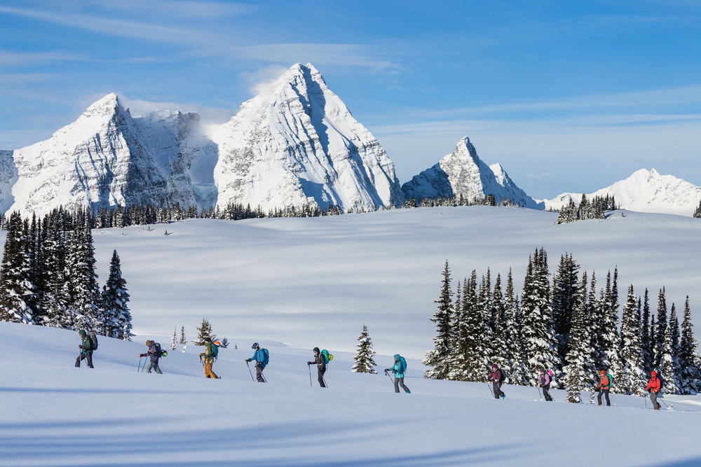 Backcountry skiers on the snow