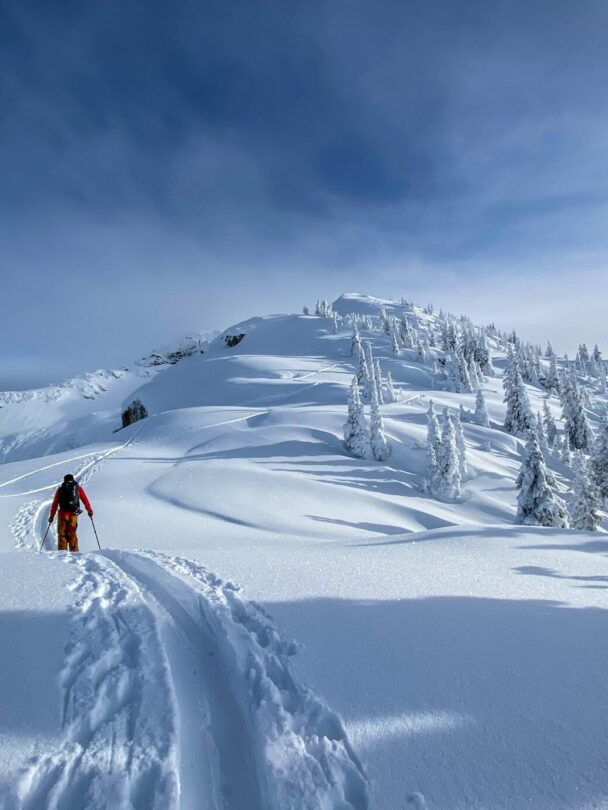 Backcountry skiing at the Carlyle Lodge.