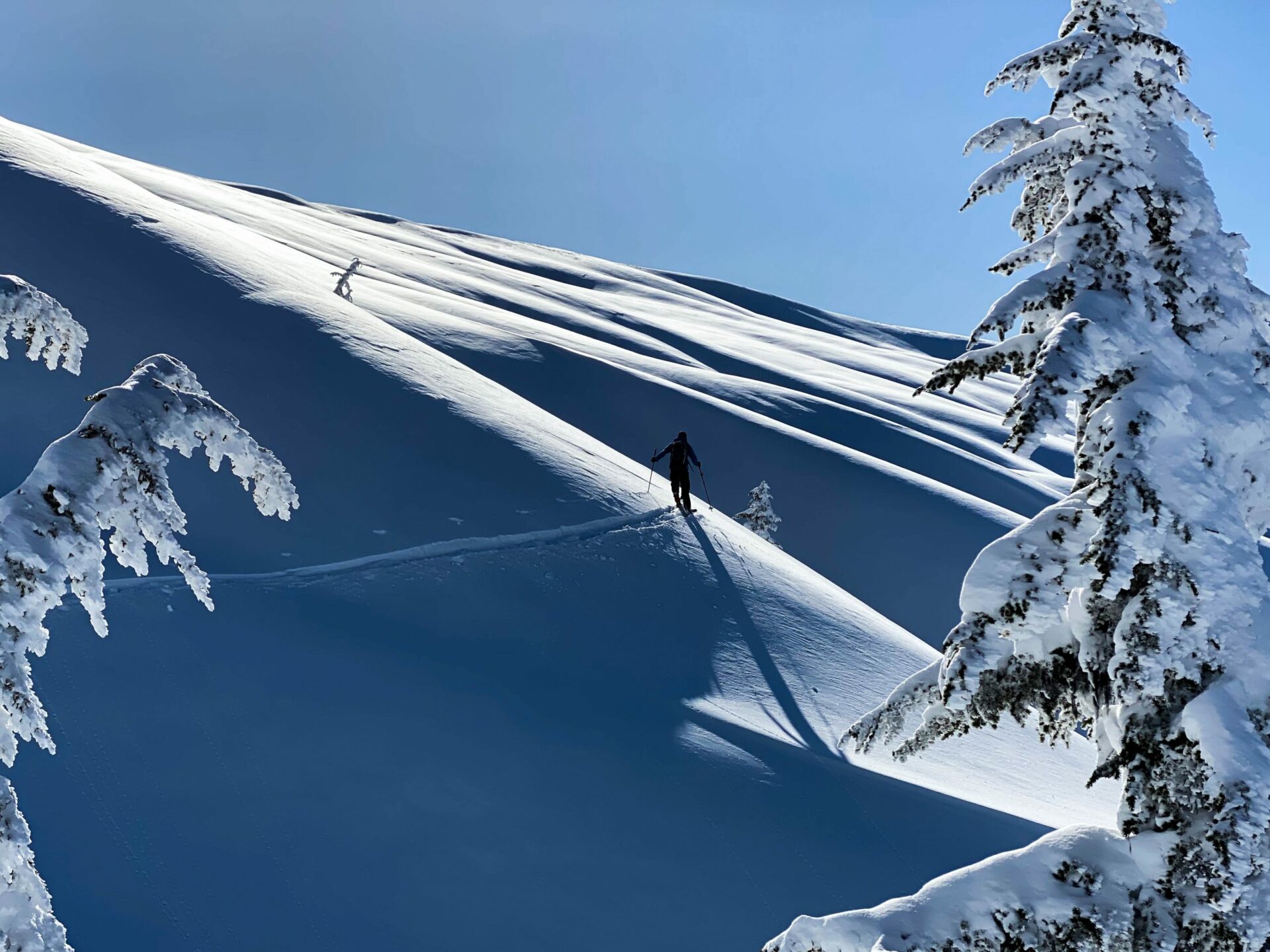 Backcountry skiing at the Kees and Clair Hut