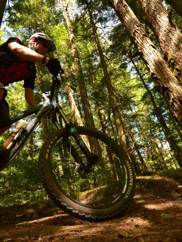 Mountain Biking Tours in Whistler.