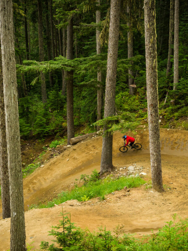 Mountain Biking Tours in Whistler.