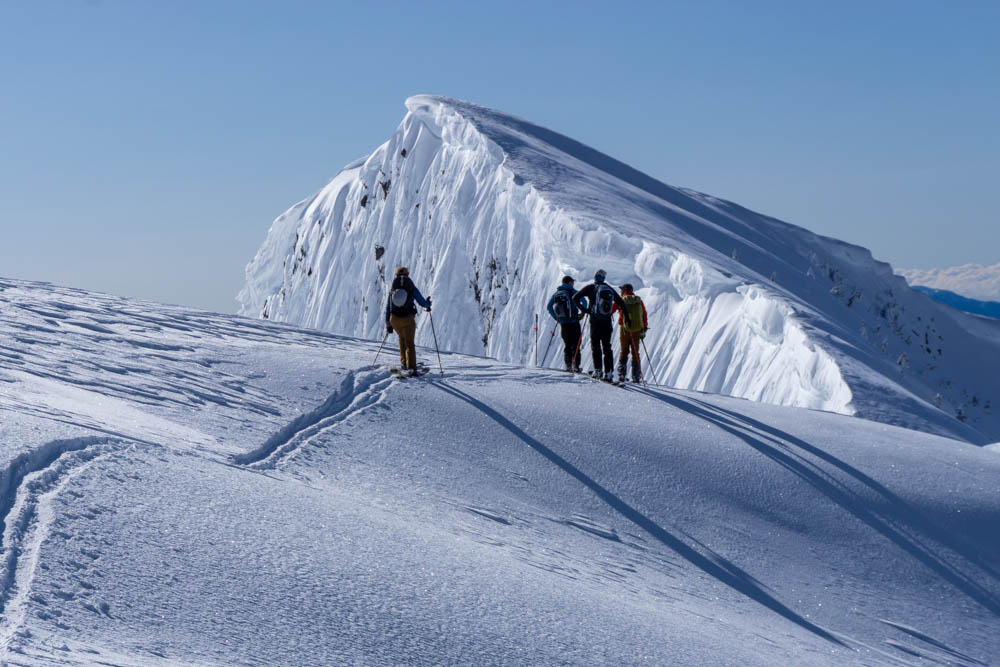 Four skiers on snow.