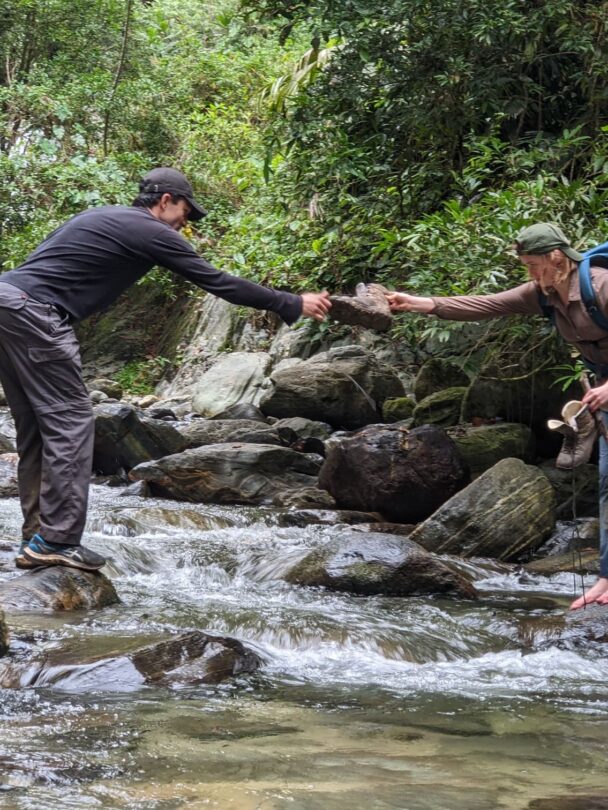 Guided hiking tour of Sierra Nevada.