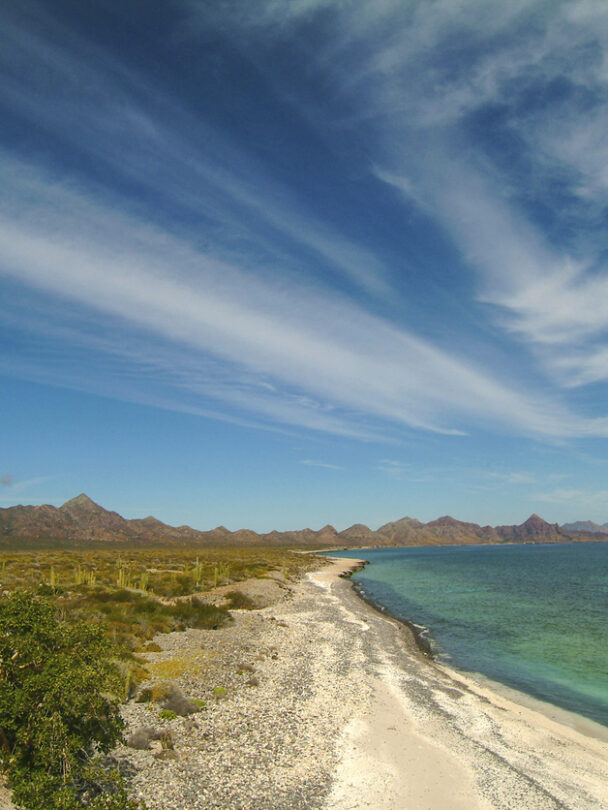 Guided kayaking adventure in Baja California Sur.