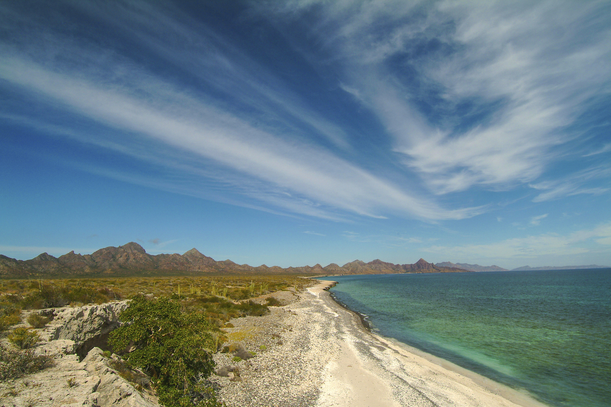 View of the shores of Isla del Carmen with a sand beach, azure sea, and desert terrain with cacti with mountains in the distance.