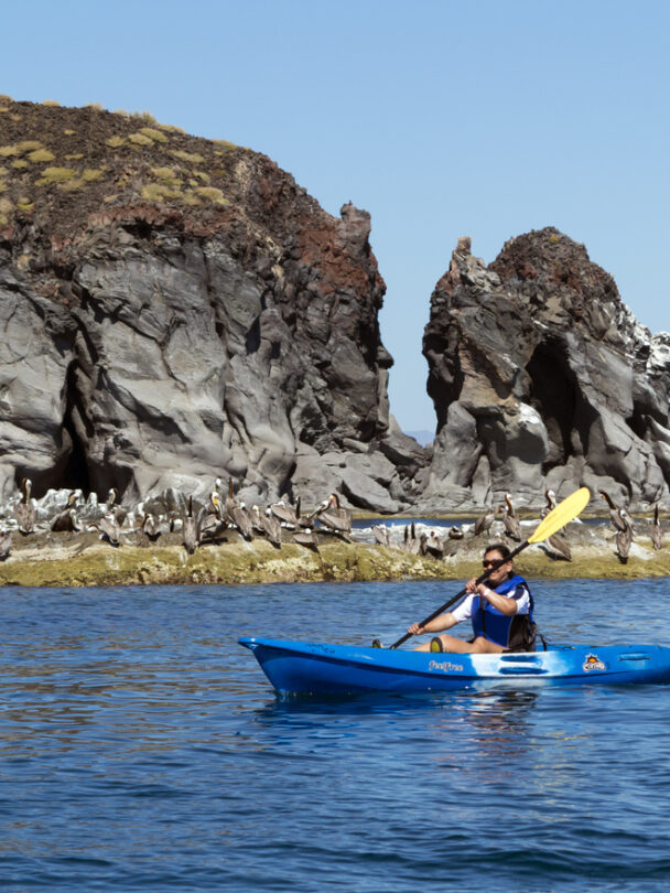 Guided kayaking adventure in Baja California Sur.