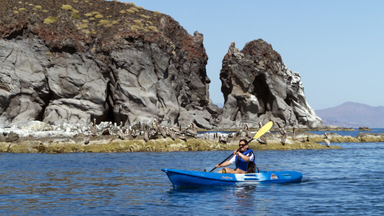 Guided kayaking adventure in Baja California Sur.