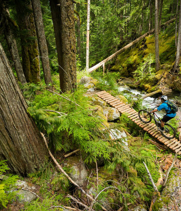 Mountain Biking Tours in Whistler.