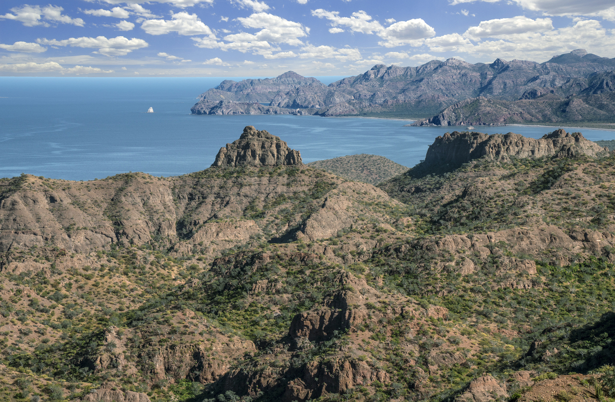 View of the rugged coastline in Baja California Sur with hilly terrain with sparse vegetation in the front and blue sea in the background. The coastline is full of bays.