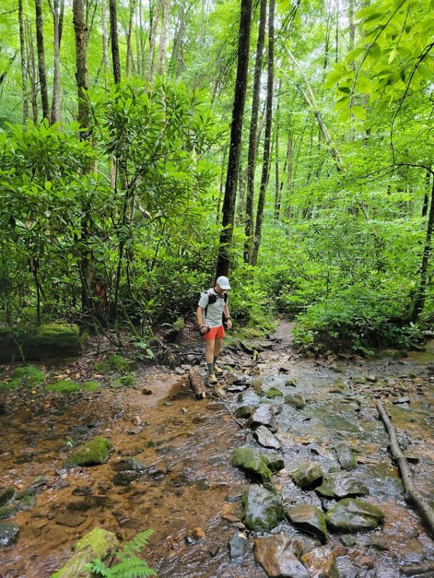 Trail running the Art Loeb Trail.