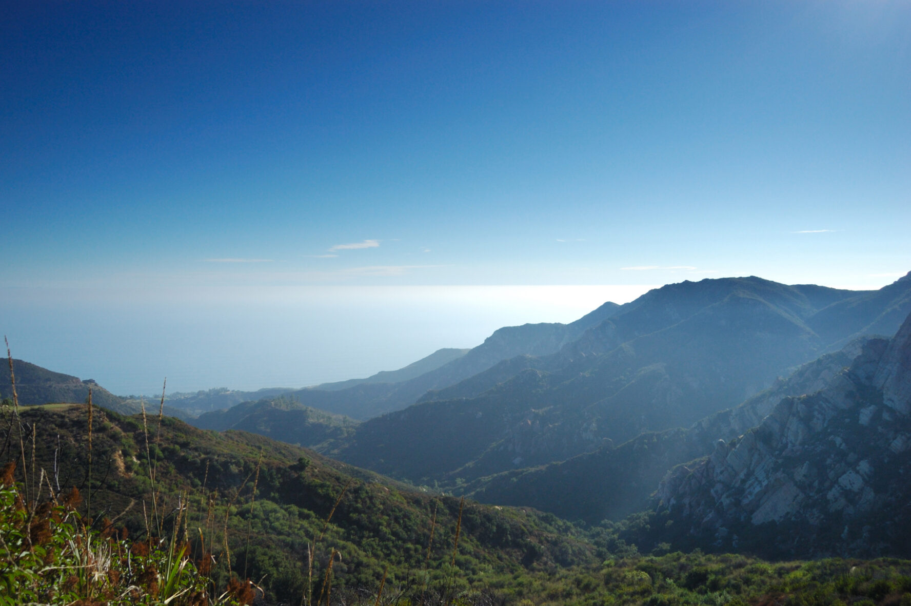 Wide shot of a large number of the coastal hills covered in trees in the Santa Monica Mountains,