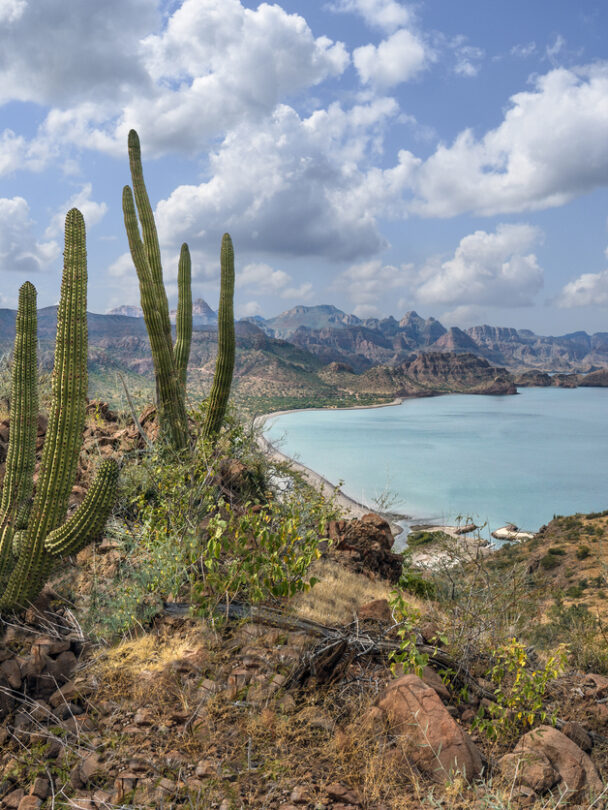 Guided kayaking adventure in Baja California Sur.