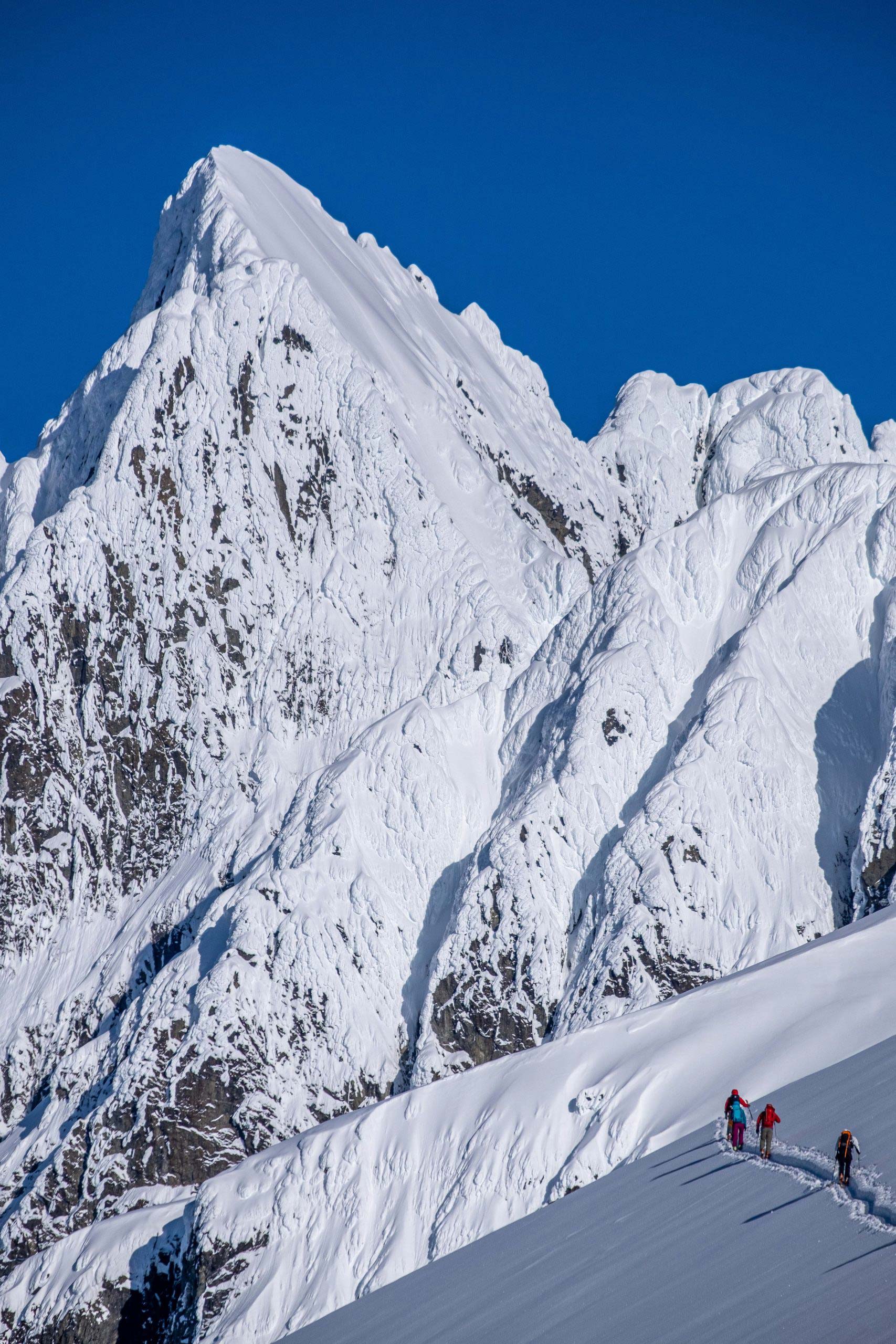 Three backcountry skiers hiking up.
