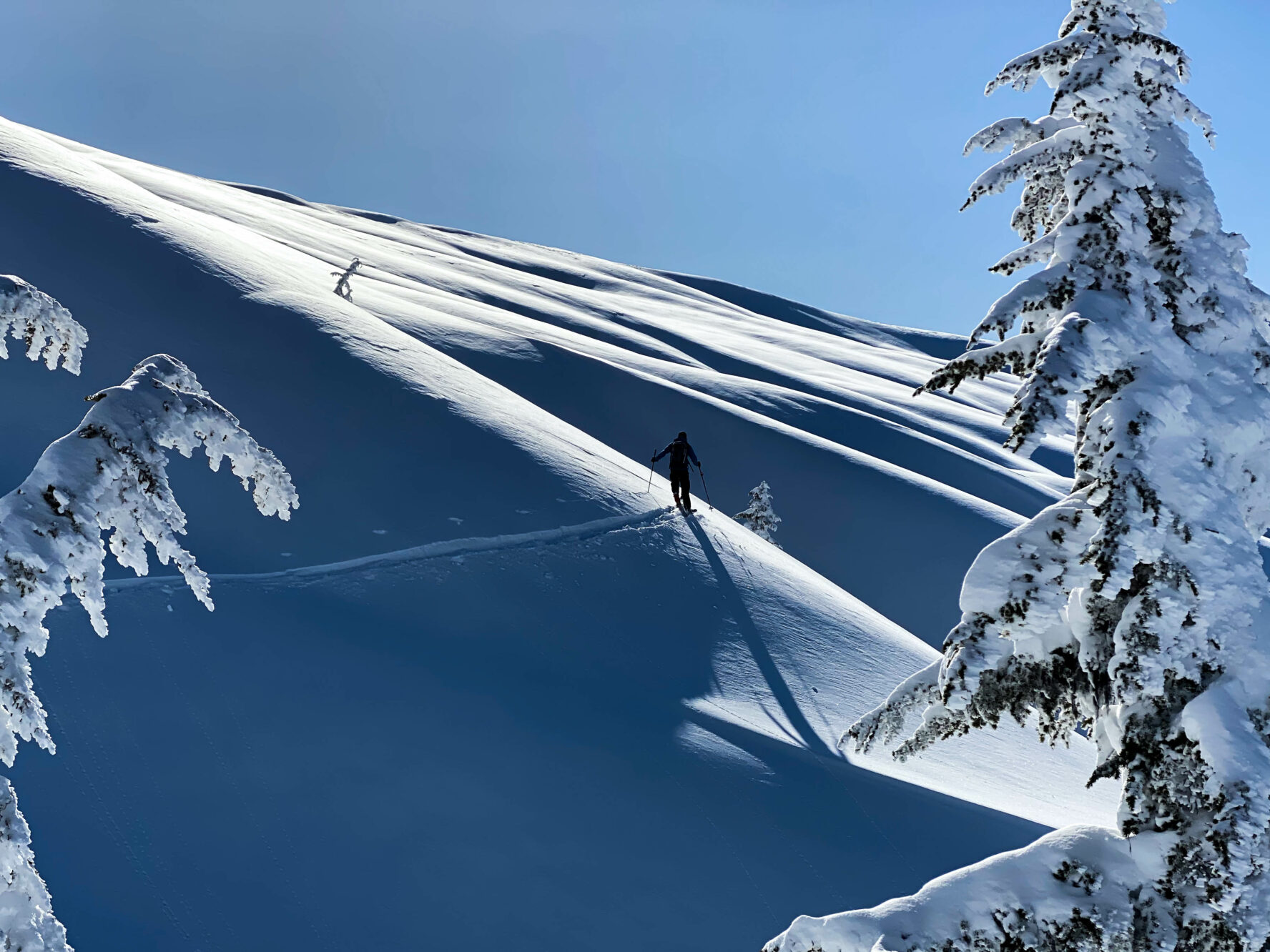Two skiers on powder