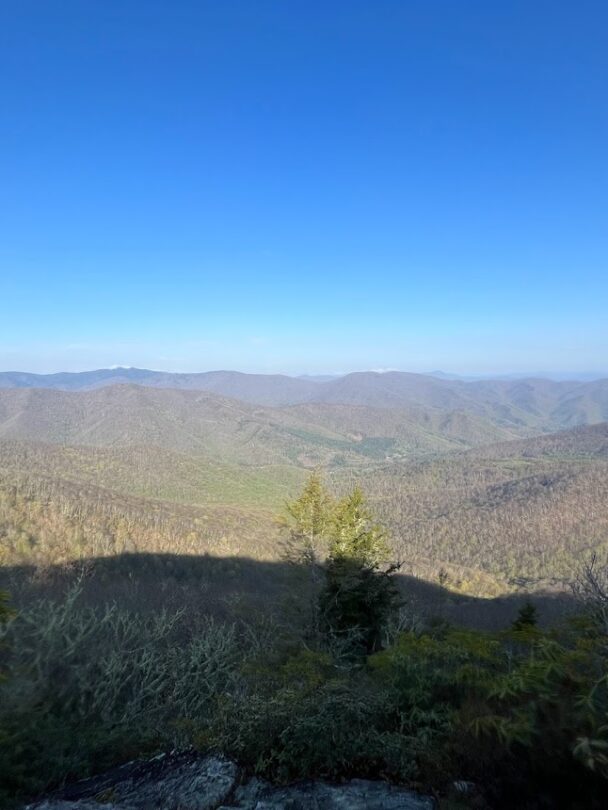 Trail running the Art Loeb Trail.