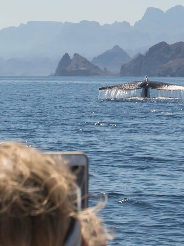Guided kayaking adventure in Baja California Sur.