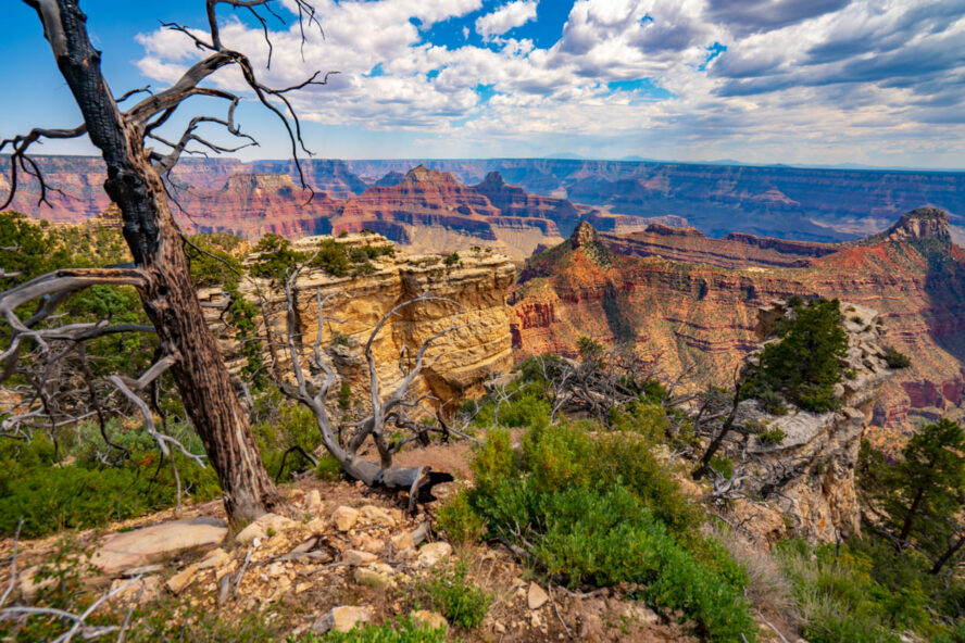 the view from Widforss Point makes the scramble worthwhile