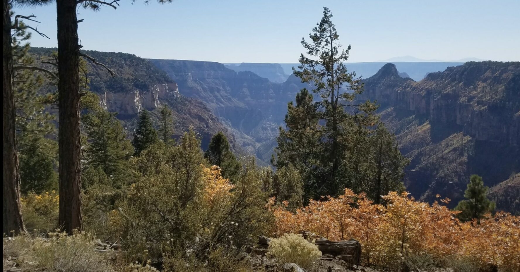 The Widforss Trail hike is varied and beginner-friendly.