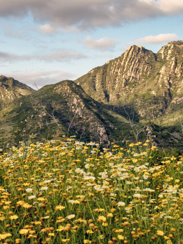 Hiking adventure in the Santa Monica Mountains