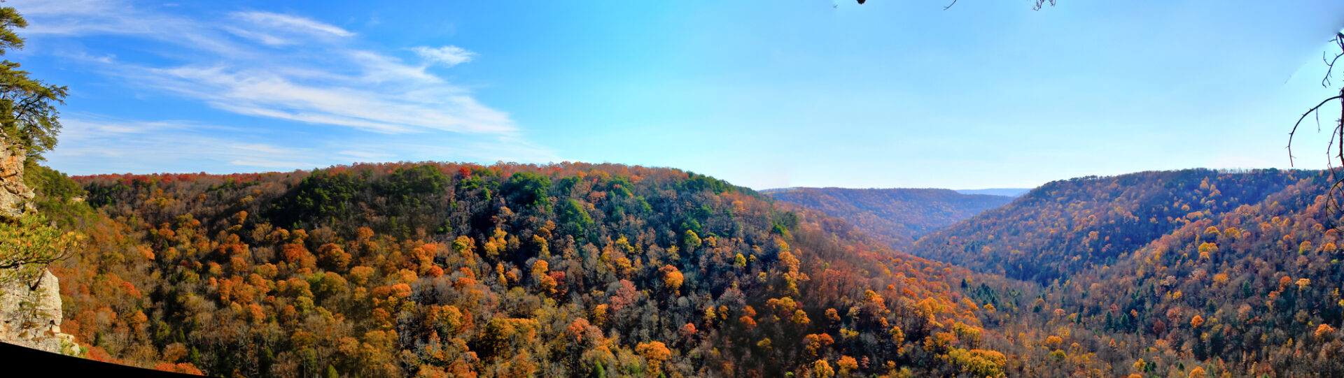 Denny Cove in the fall from the Fiery Gizzard trail.