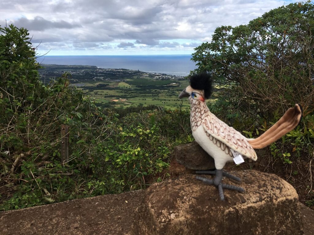 Bird spotted on trails of Minnesota.