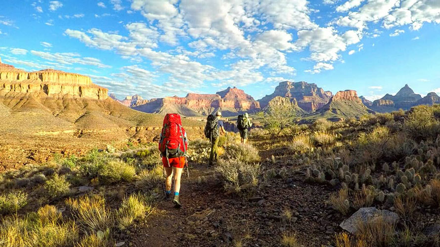 Hikers in a line on the Grandview Trek, Grand Canyon