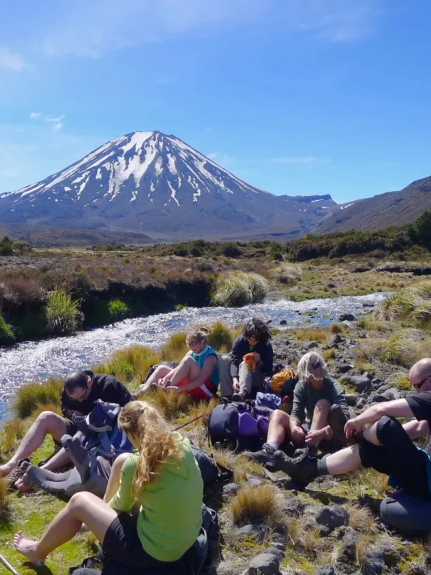 Desert bighorn sheep (Ovis canadensis nelsoni) is a subspecies of bighorn sheep (Ovis canadensis)