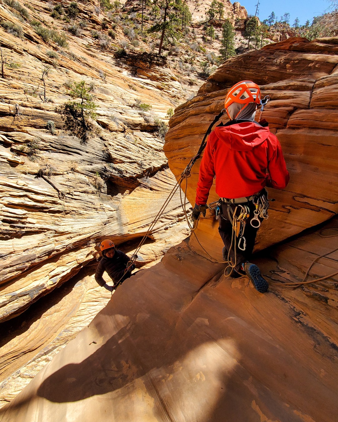 Climbing the cliffs of the Zion Canyon