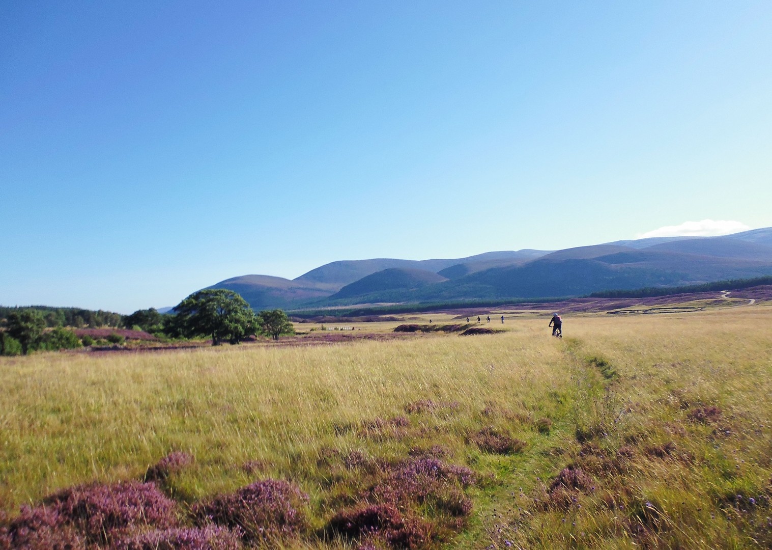 Mountain bikers riding through a field in the Cairngorms NP in Scotland.