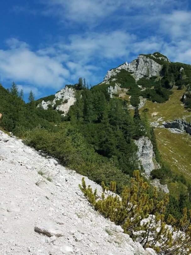 Guided hiking and culinary tour in Slovenia.