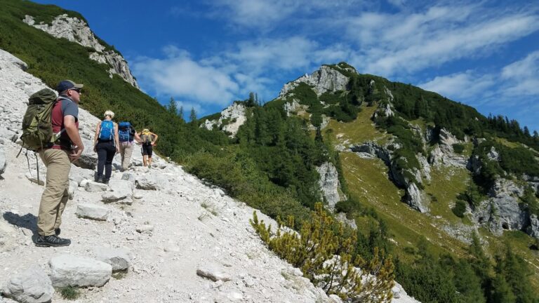 Guided hiking and culinary tour in Slovenia.