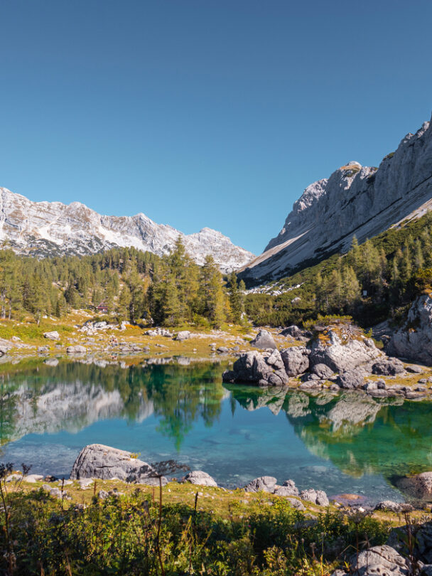 Guided hiking and culinary tour in Slovenia.