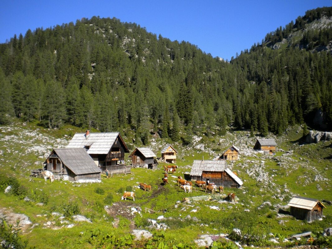 Shepherd hut in the Julian Alps.
