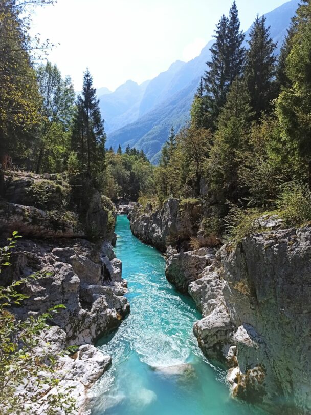 Guided hiking and culinary tour in Slovenia.