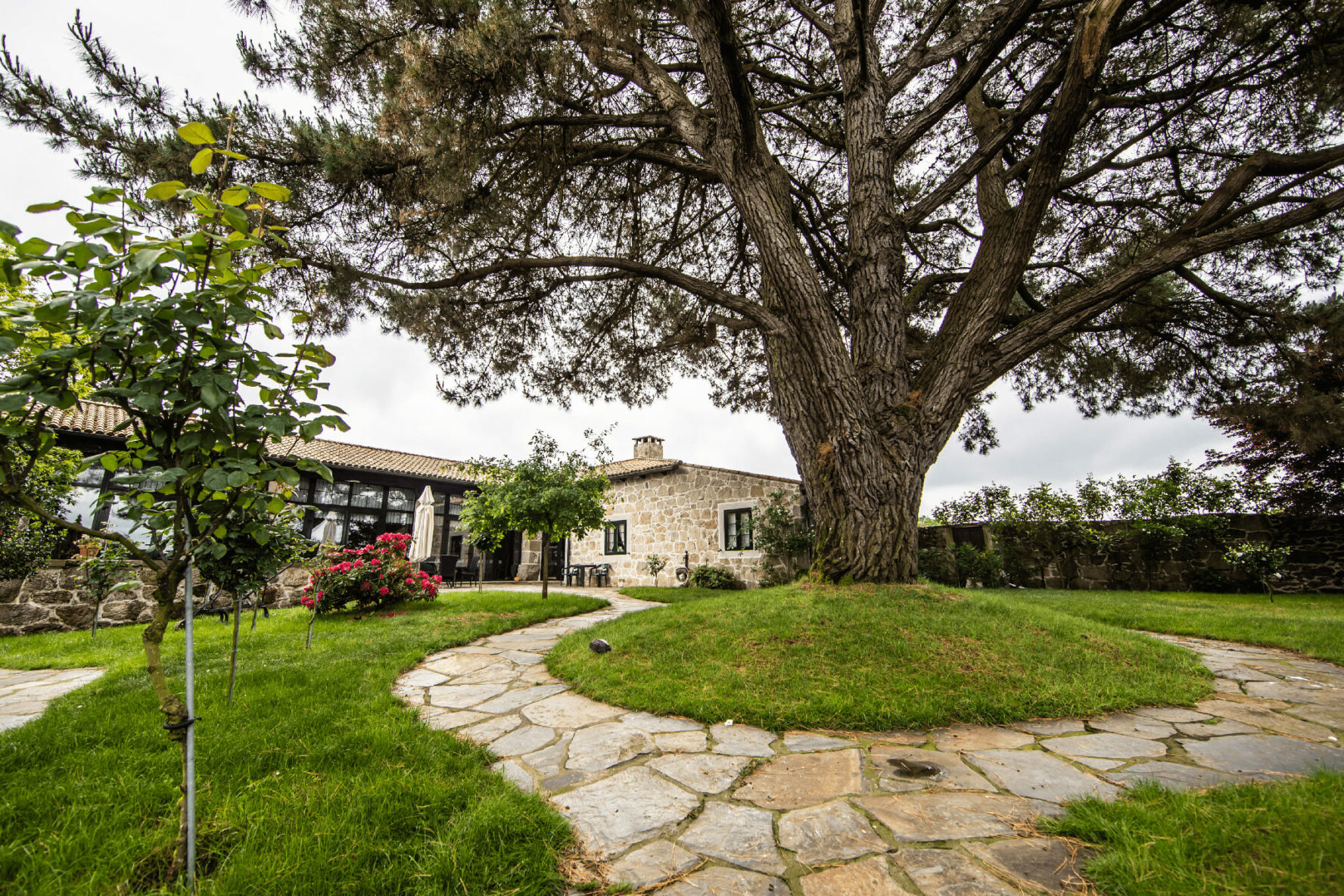 Hiking Camino de Frances