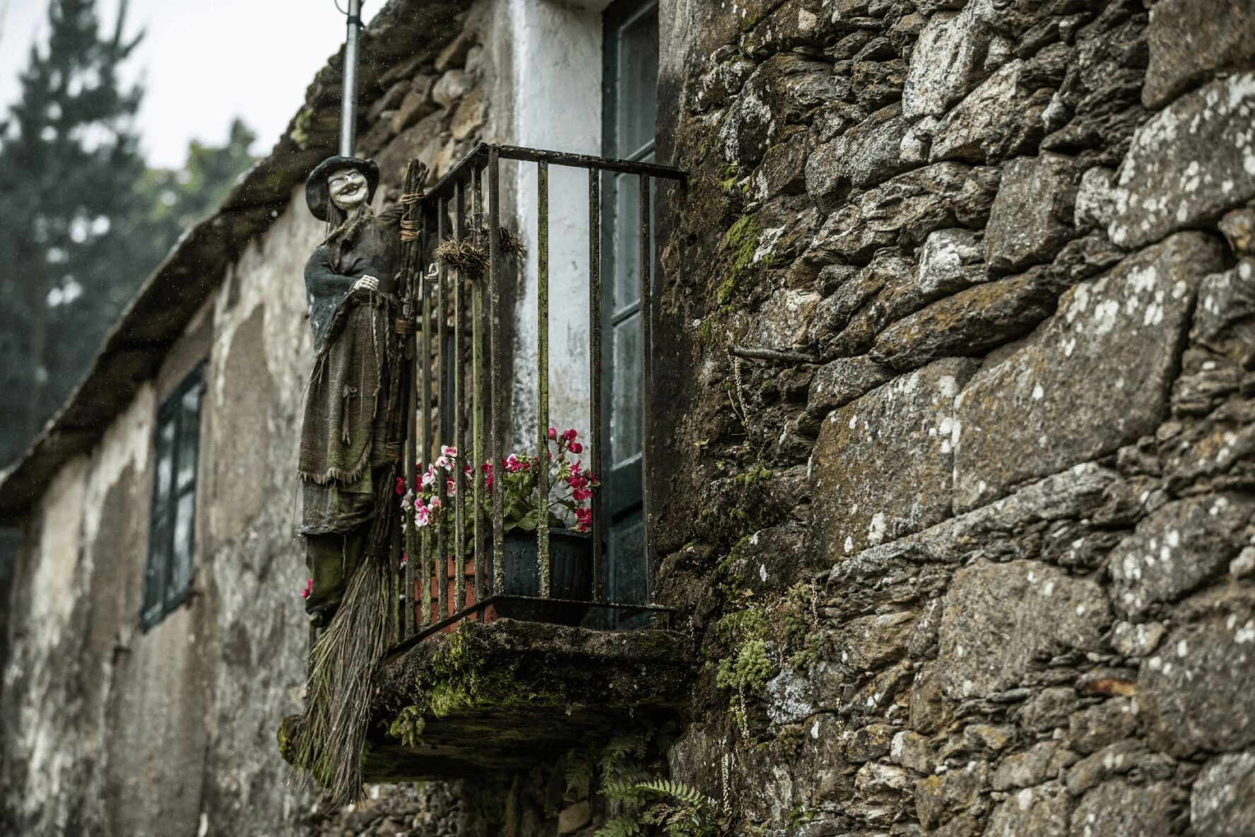 Hiking Camino de Frances