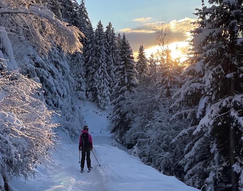 A backcountry skier on an off-piste run surrounded by snow-dusted conifers.