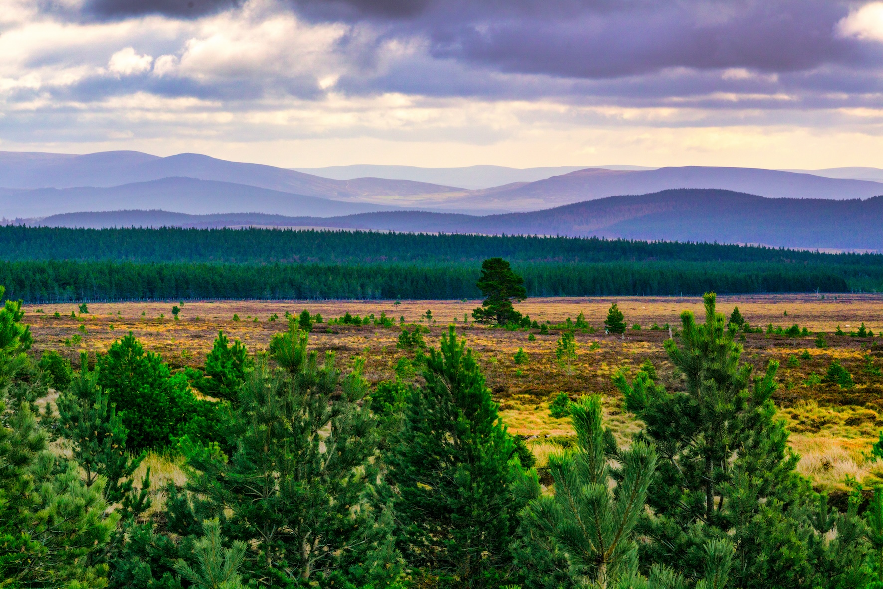 Cairngorm National Park from the A9
