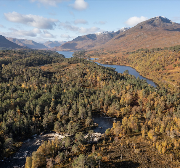 Glen Affric Coffee Break