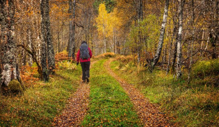 Glen Affric Hiker