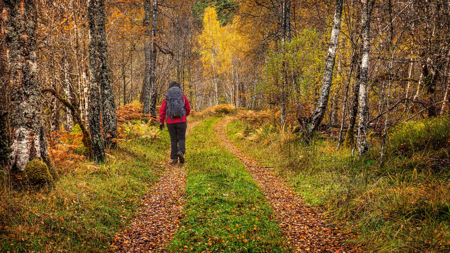Glen Affric Hiker
